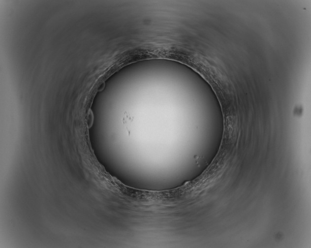 X0000102281057200807251353