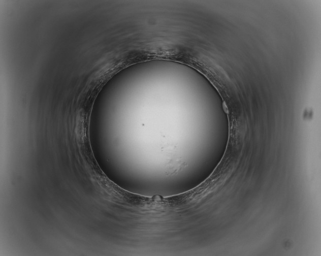 X0000102281058200807251353