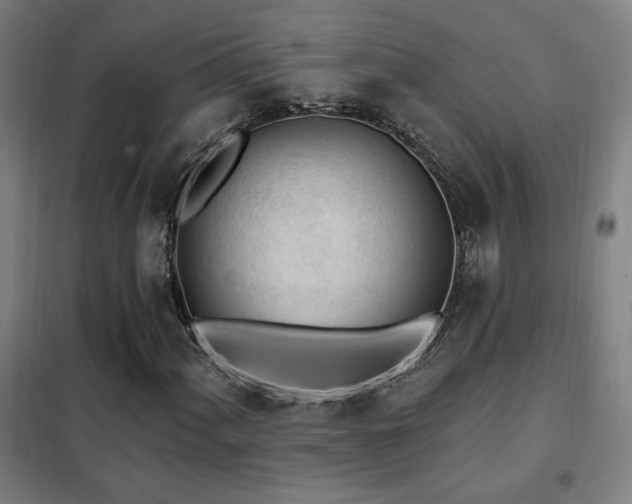X0000102281060200807251353