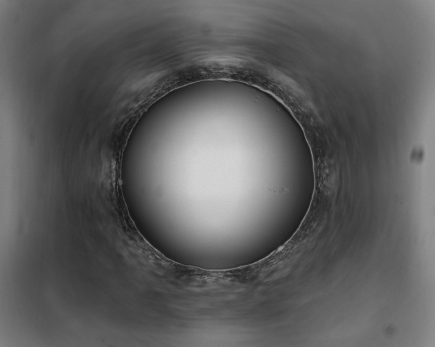 X0000102281061200807251353