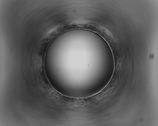 X0000102281062200807251353