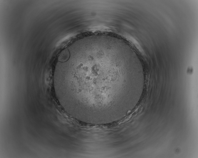 X0000102281063200807251353