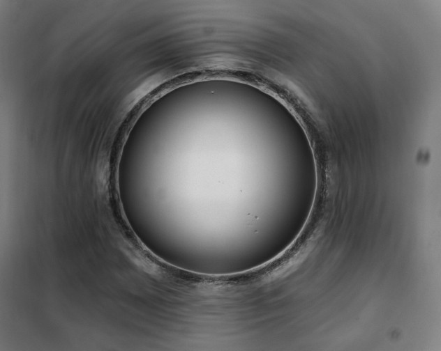 X0000102281065200807251353