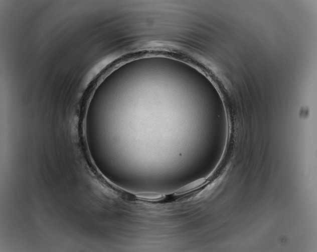 X0000102281066200807251353