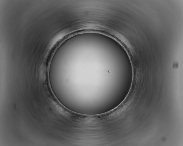X0000102281067200807251353