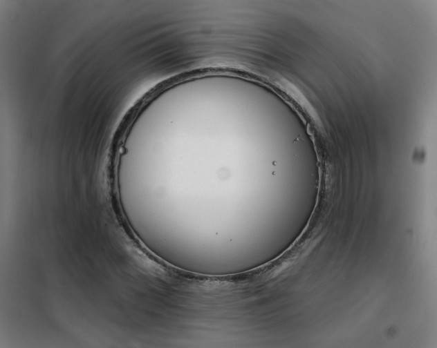 X0000102281068200807251353