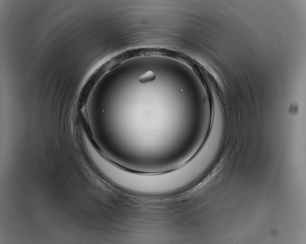 X0000102281069200807251353