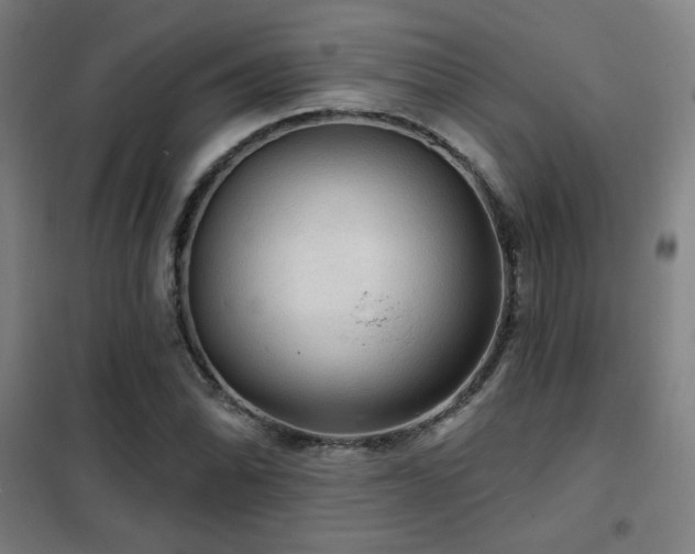 X0000102281070200807251353