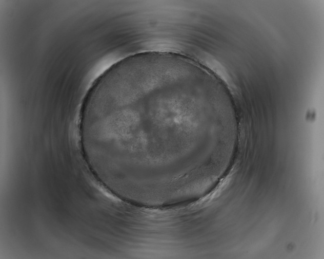 X0000102281071200807251353