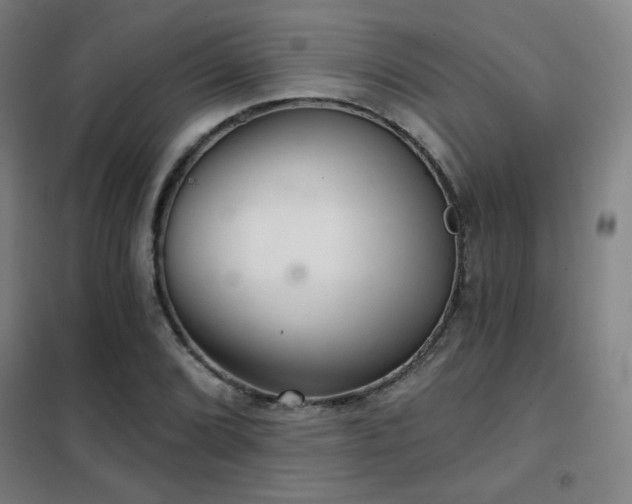 X0000102281072200807251353