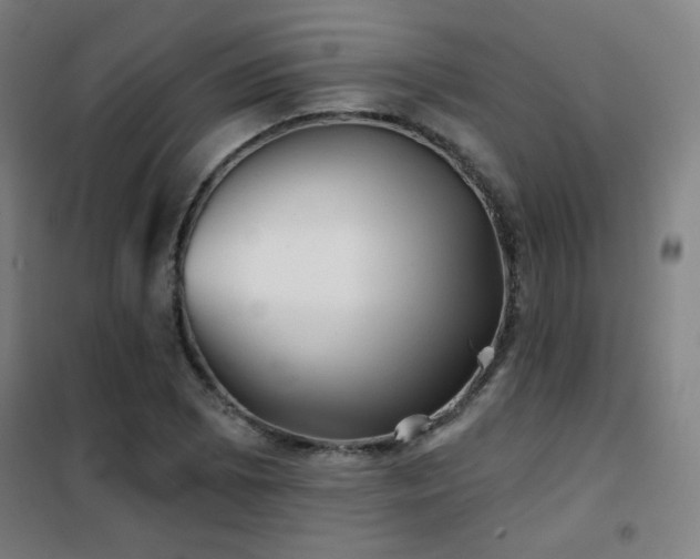 X0000102281073200807251353