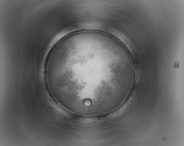 X0000102281074200807251353