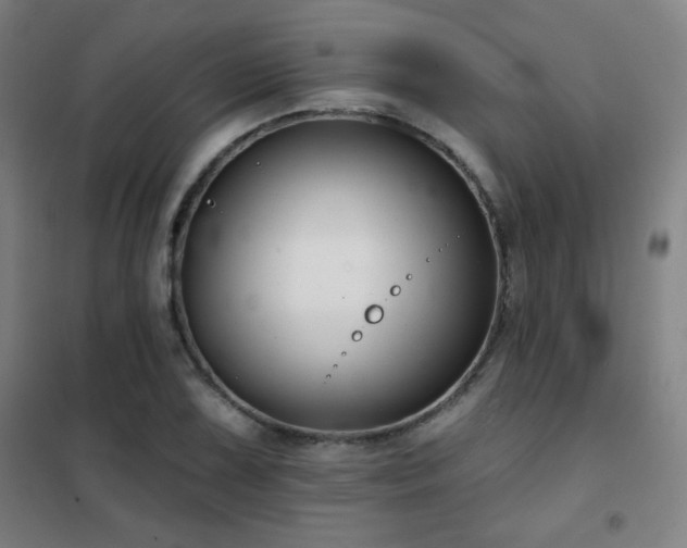 X0000102281075200807251353