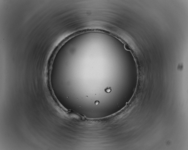 X0000102281076200807251353