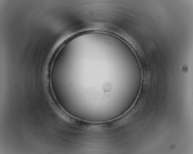 X0000102281078200807251353
