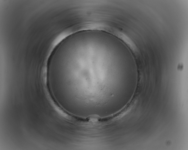 X0000102281079200807251353