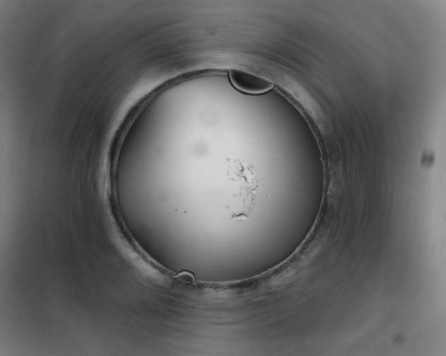 X0000102281080200807251353