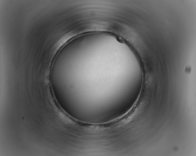 X0000102281081200807251353
