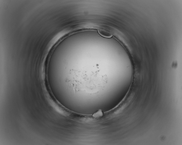 X0000102281082200807251353