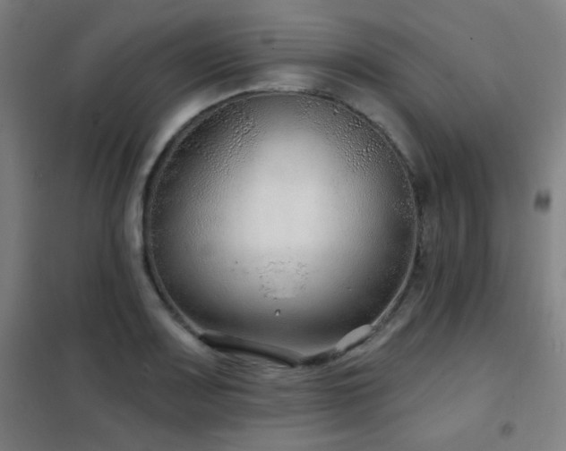 X0000102281083200807251353