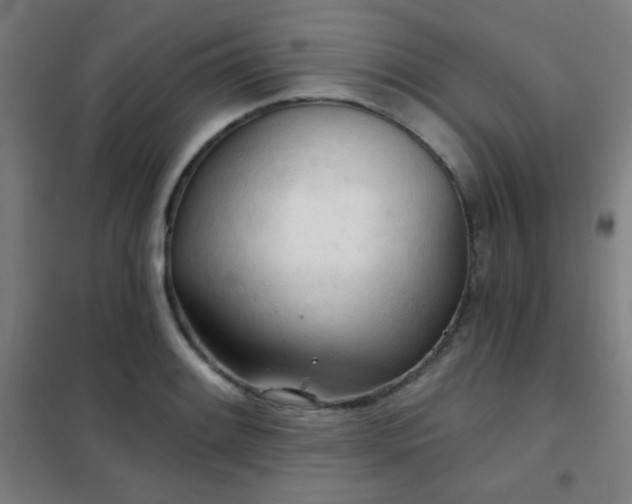 X0000102281084200807251353