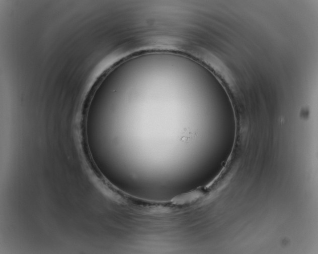 X0000102281085200807251353