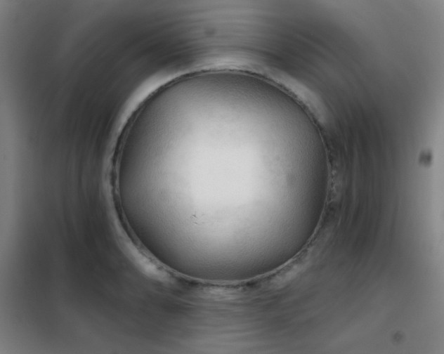 X0000102281086200807251353