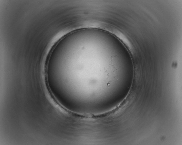 X0000102281088200807251353