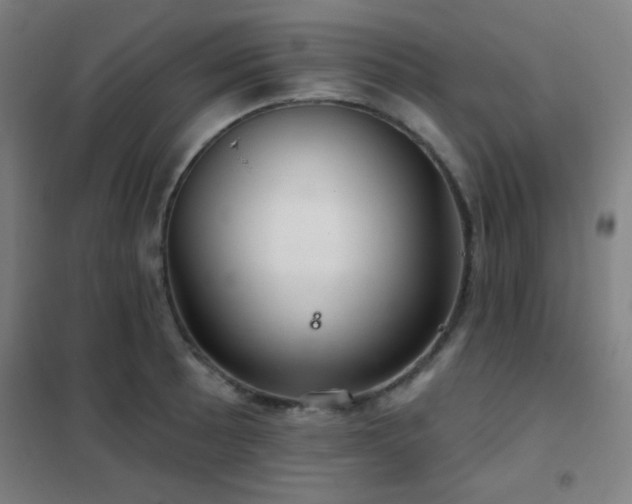 X0000102281089200807251353
