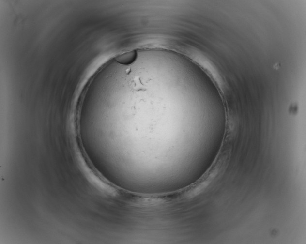 X0000102281090200807251353