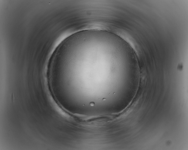 X0000102281091200807251353