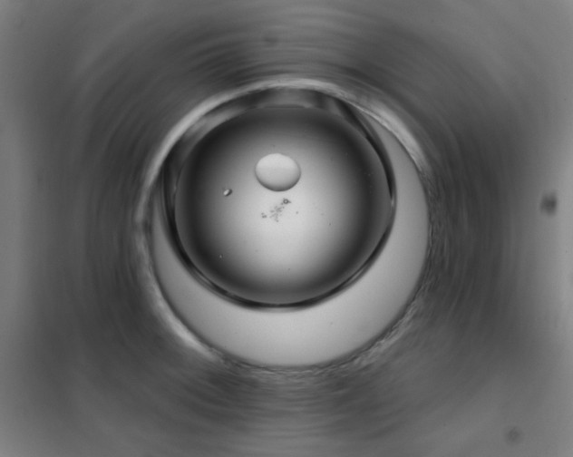 X0000102281092200807251353