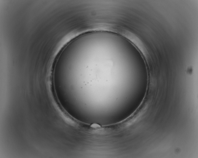 X0000102281093200807251353