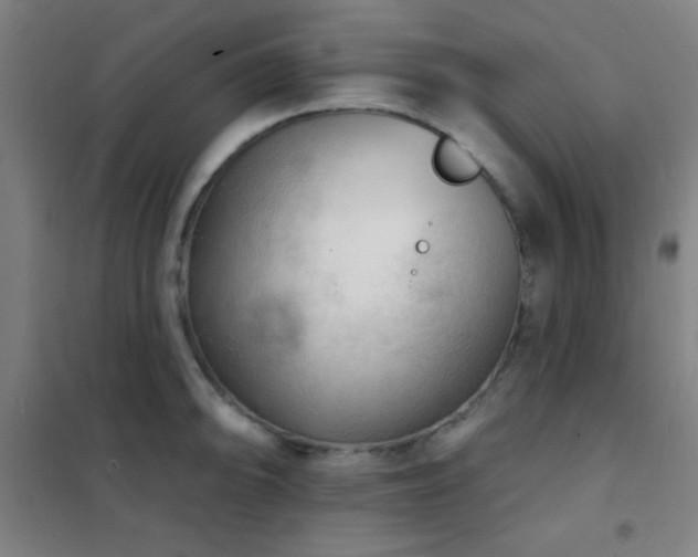 X0000102281094200807251353