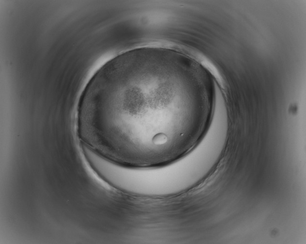 X0000102281095200807251353