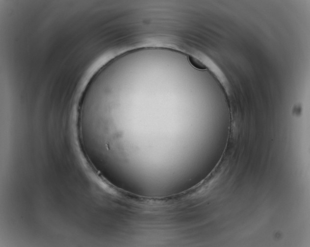 X0000102281096200807251353