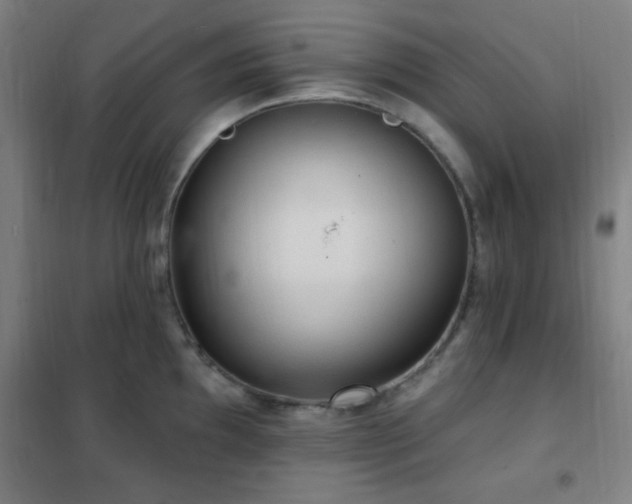 X0000102281097200807251353