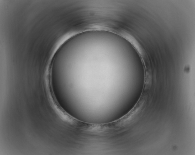 X0000102281098200807251353