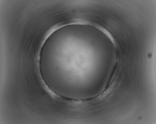 X0000102281099200807251353