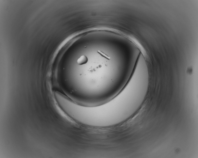 X0000102281100200807251353