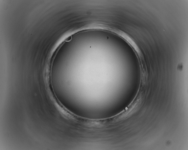 X0000102281101200807251353