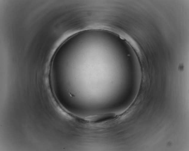 X0000102281102200807251353