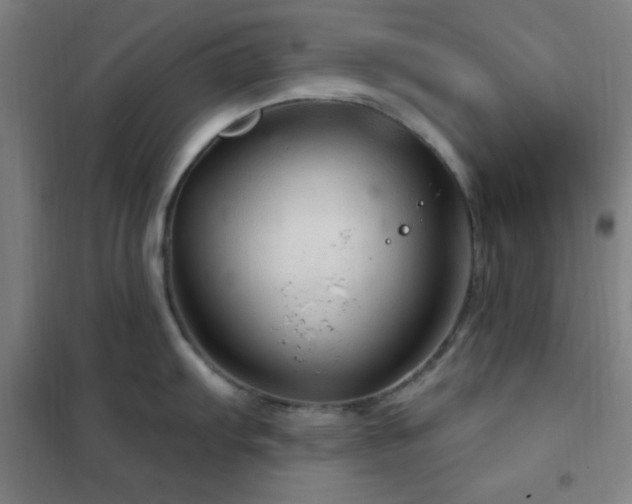 X0000102281103200807251353