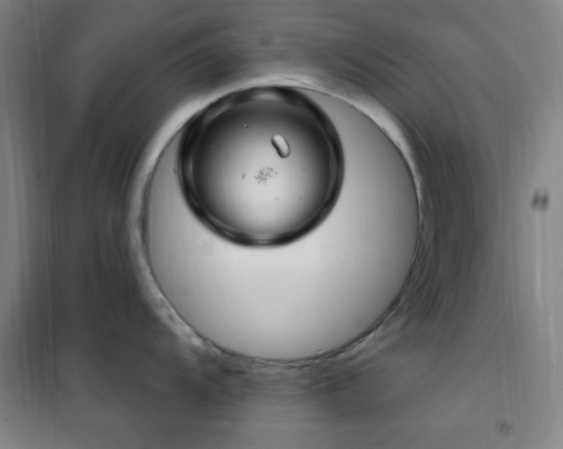 X0000102281104200807251353