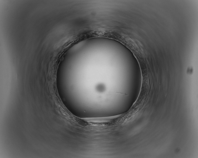 X0000102281105200807251352