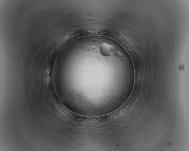 X0000102281106200807251352