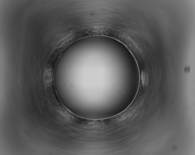 X0000102281107200807251352