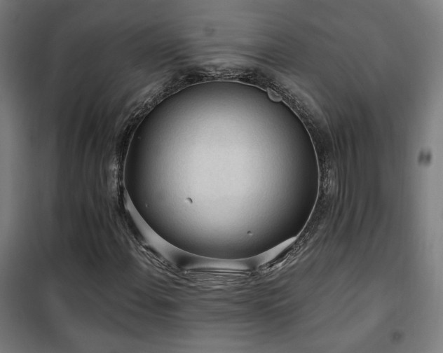 X0000102281108200807251352