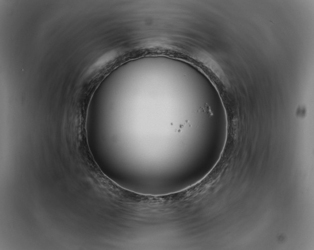 X0000102281111200807251352
