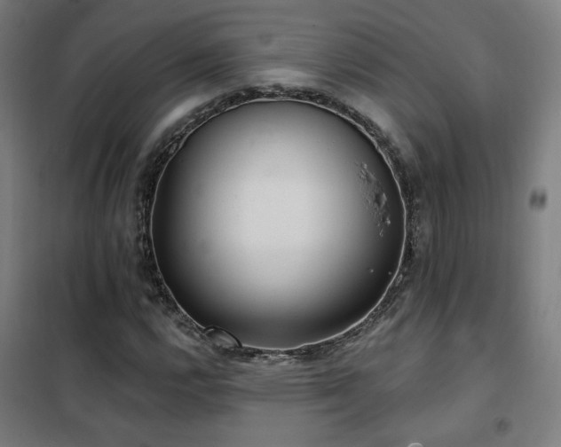 X0000102281112200807251352